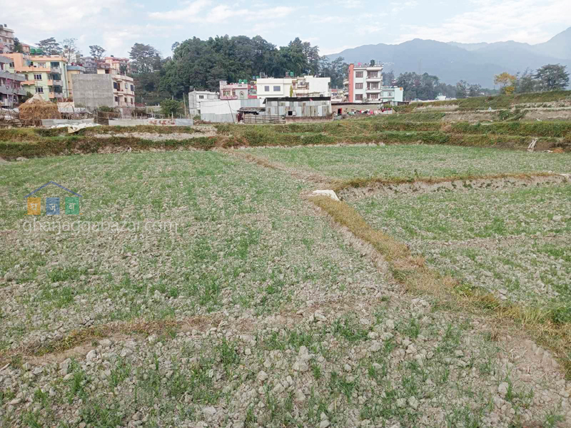 Picture of Tokha Municipality, Bagmati